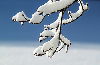 Freie Plätze im Winterferienprogramm