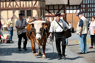 Erntefest mit Herbstmarkt