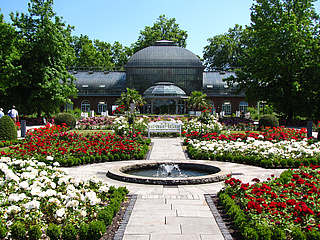 Tropen und Subantarktis: Palmengarten öffnet Schauhäuser