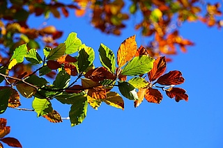 Noch freie Plätze im Herbst- und Winterferienprogramm