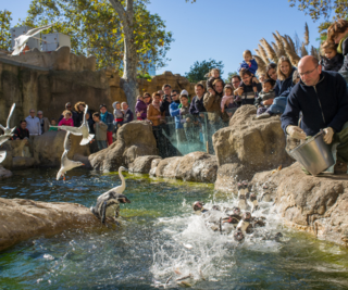 Freier Eintritt für Auszubildende in die städtischen Museen und den Zoo Frankfurt