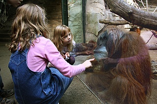 160 Jahre Zoo Frankfurt