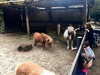 Kobelt Zoo darf endlich öffnen