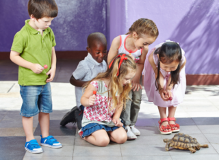 Spannende Führungen im Zoo Vivarium für Schulanfänger