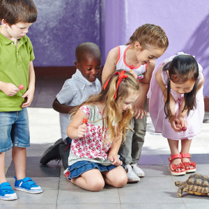 Spannende Führungen im Zoo Vivarium für Schulanfänger