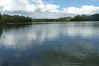 Schultheis-Weiher Offenbach wieder zum Baden freigegeben