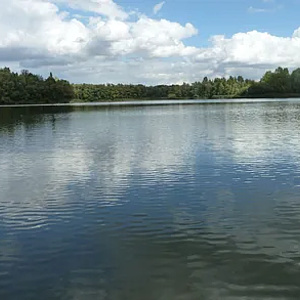 Schultheis-Weiher Offenbach wieder zum Baden freigegeben