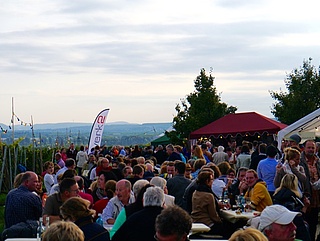 Wein Genuss am Morschberg