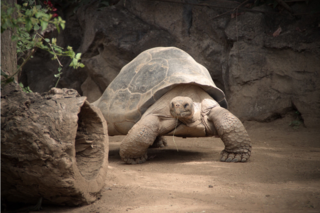 Frühjahrsputz im Zoo Vivarium Darmstadt